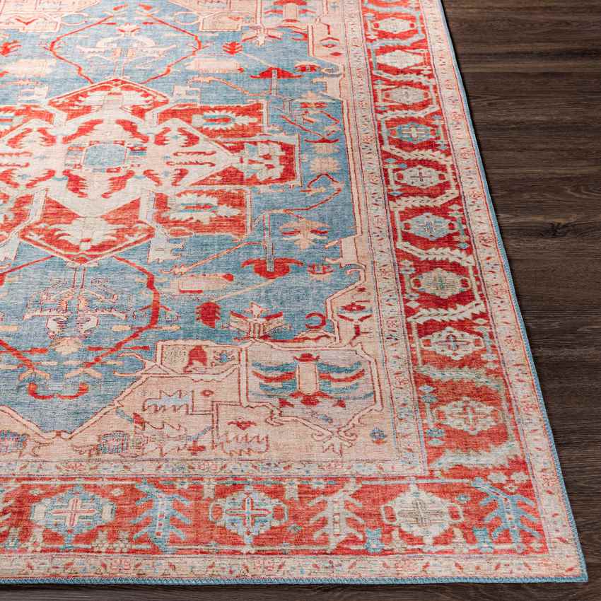 Maarheeze Traditional Burnt Orange Area Rug