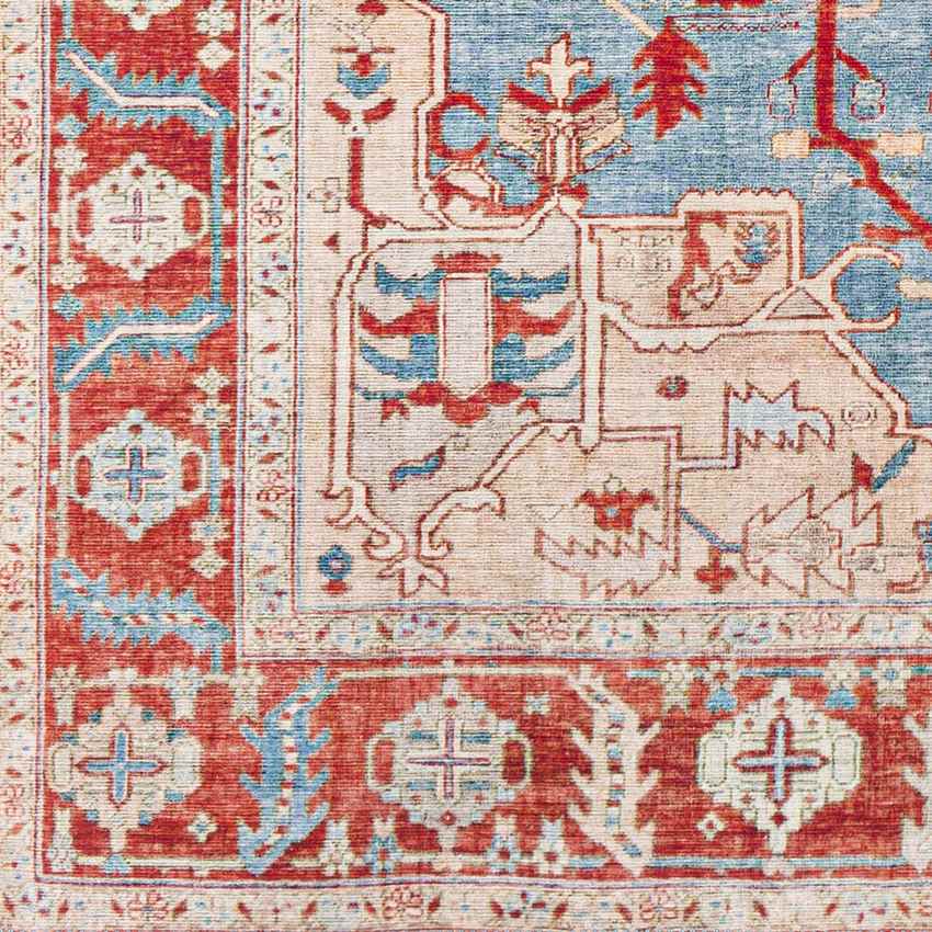 Maarheeze Traditional Burnt Orange Area Rug