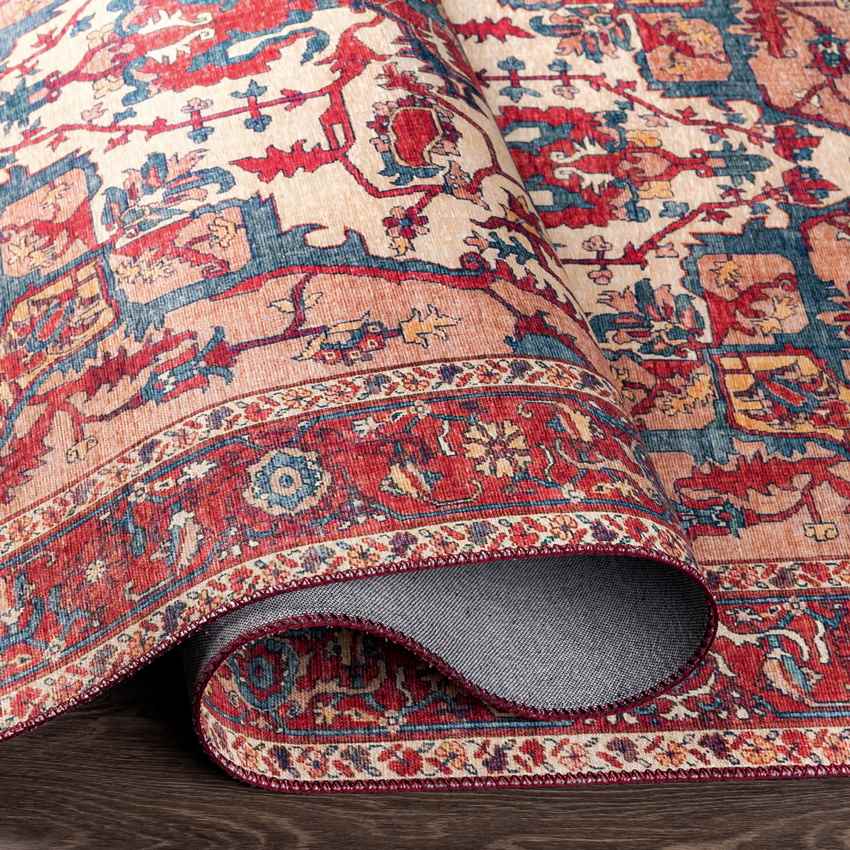 Maaskant Traditional Bright Red Area Rug