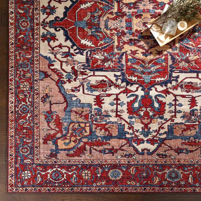 Maaskant Traditional Bright Red Area Rug