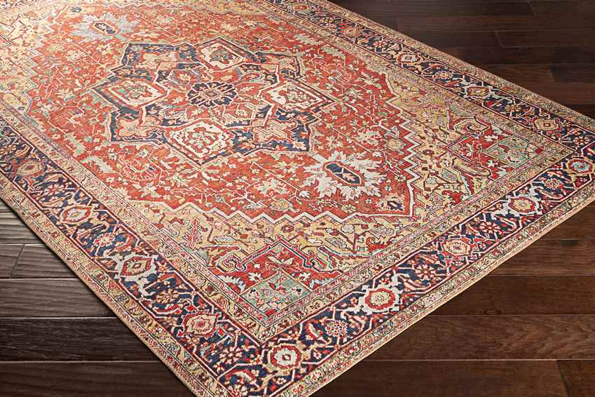 Macharen Traditional Bright Orange Area Rug
