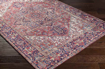 Medevoort Traditional Dark Red Area Rug