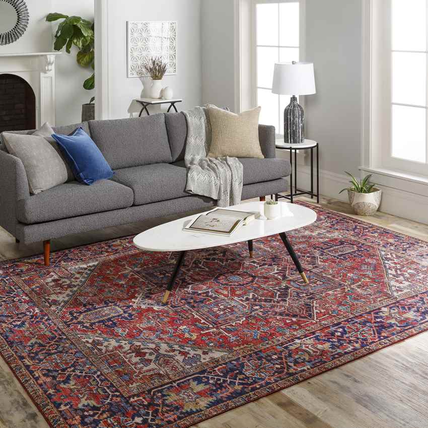 Medevoort Traditional Dark Red Area Rug