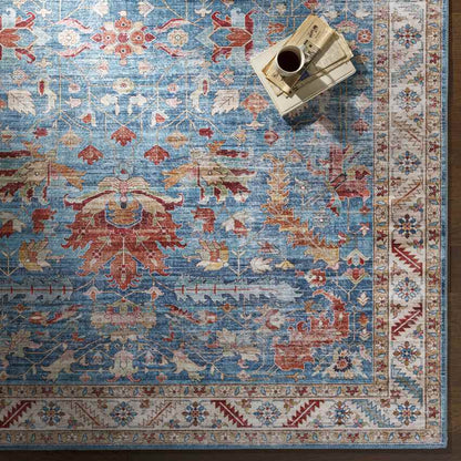 Meeren Traditional Sky Blue Area Rug