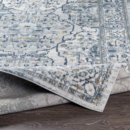 Mierlo Traditional Charcoal Area Rug