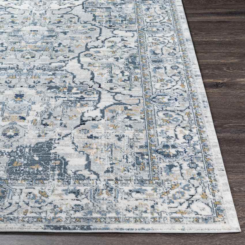 Mierlo Traditional Charcoal Area Rug