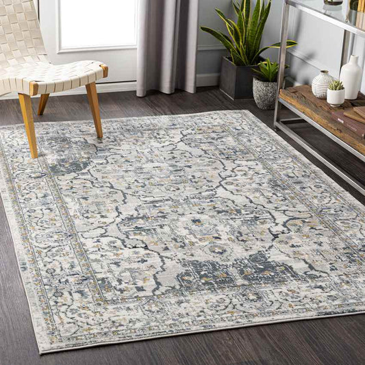 Mierlo Traditional Charcoal Area Rug
