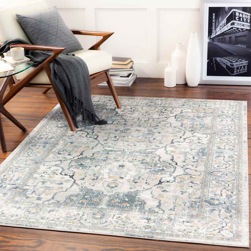 Mierlo Traditional Charcoal Area Rug