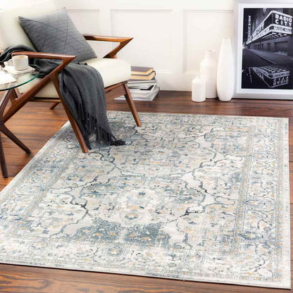 Mierlo Traditional Charcoal Area Rug