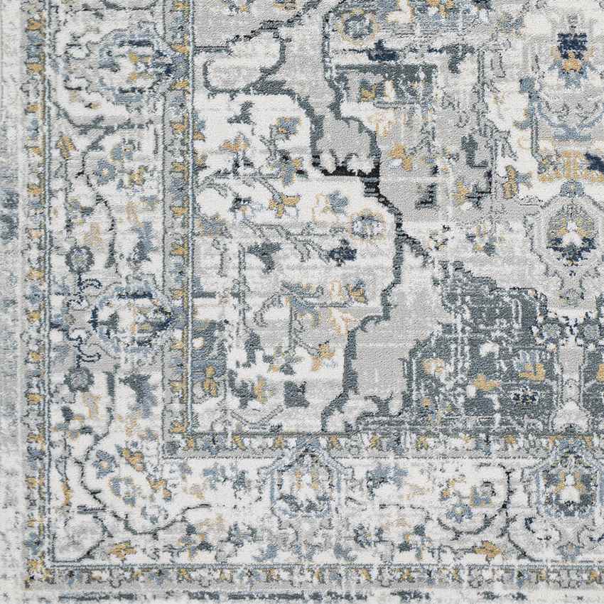 Mierlo Traditional Charcoal Area Rug