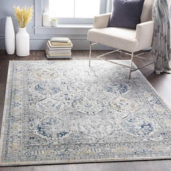 Moeren Traditional Light Gray Area Rug