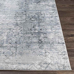 Moleneind Traditional Medium Gray Area Rug