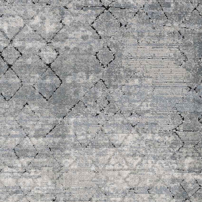Moleneind Traditional Medium Gray Area Rug