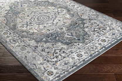 Molenwijk Traditional Light Gray Area Rug