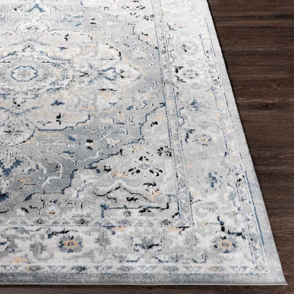 Molenwijk Traditional Light Gray Area Rug