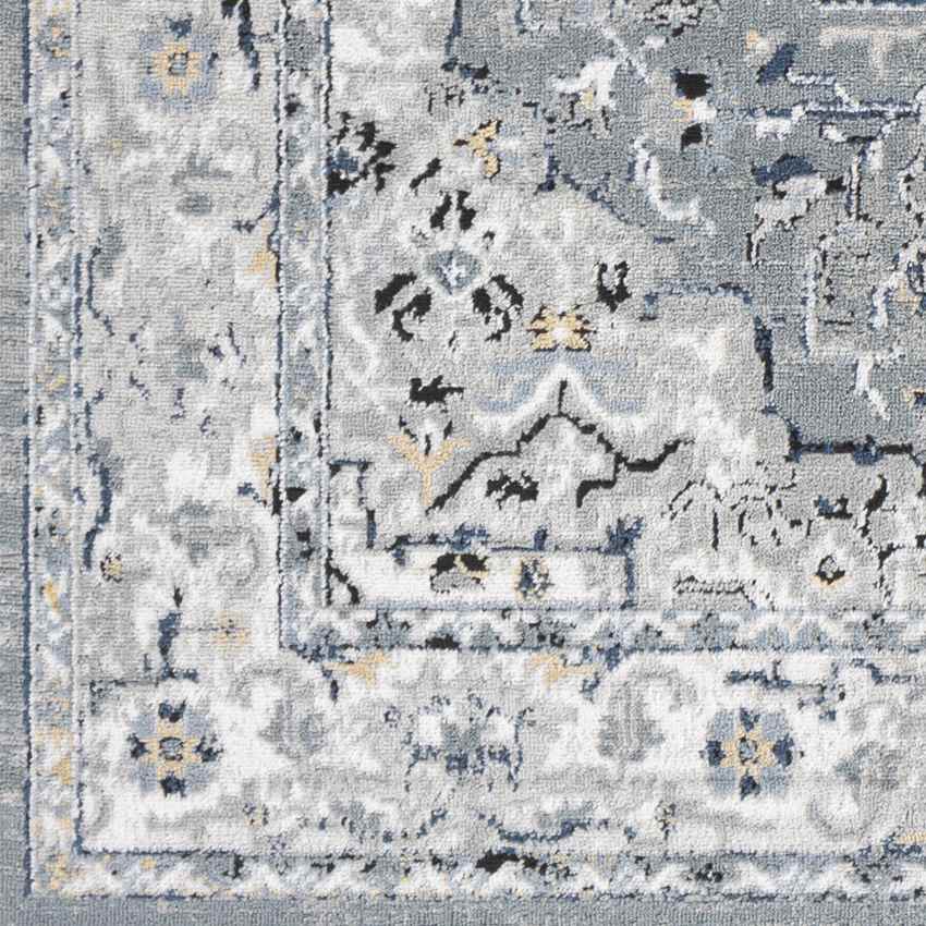 Molenwijk Traditional Light Gray Area Rug