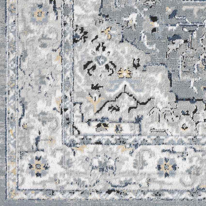 Molenwijk Traditional Light Gray Area Rug