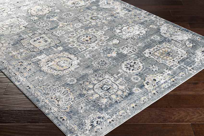 Mosbulten Traditional Light Gray Area Rug