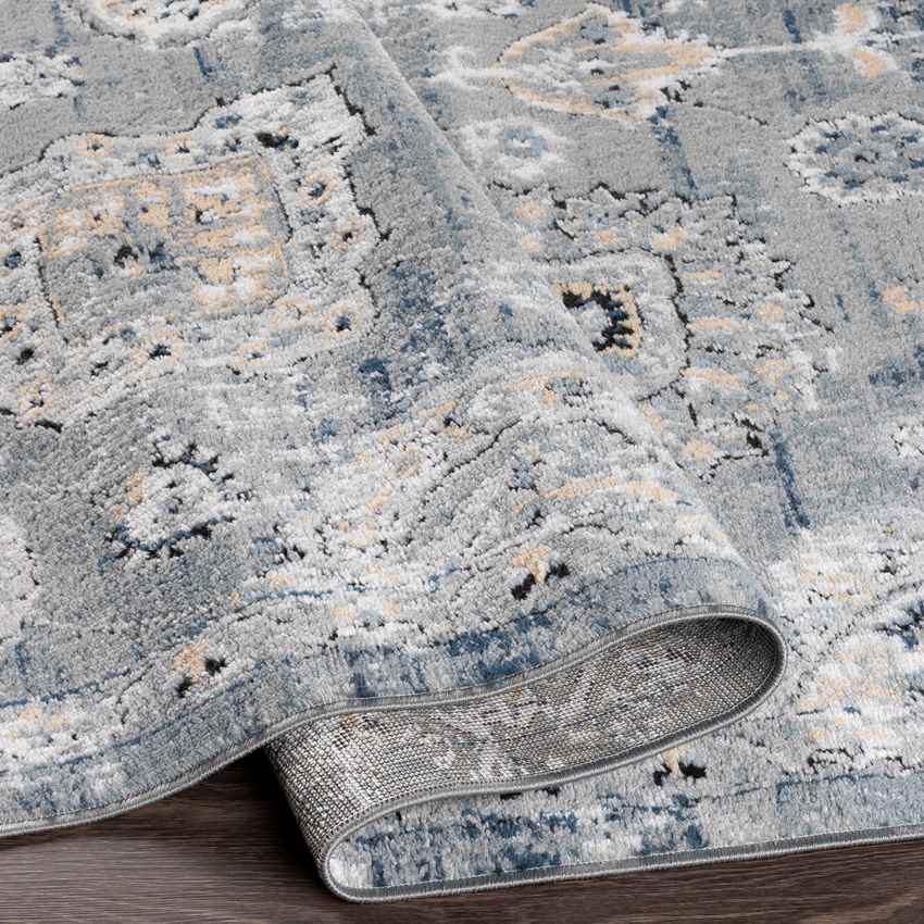 Mosbulten Traditional Light Gray Area Rug