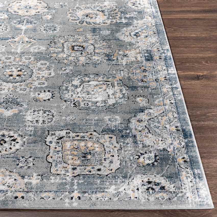 Mosbulten Traditional Light Gray Area Rug