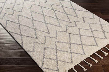 Nispen Global Taupe Area Rug