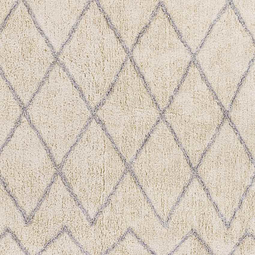 Nispen Global Taupe Area Rug