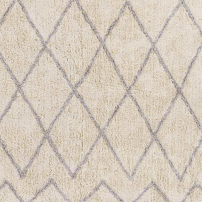 Nispen Global Taupe Area Rug