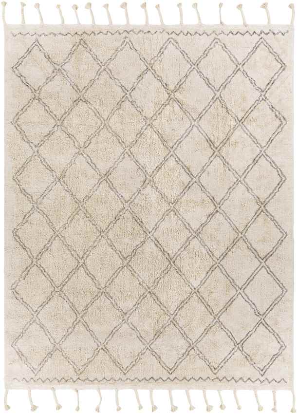 Noord Global Beige Area Rug