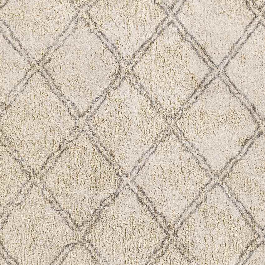 Noord Global Beige Area Rug