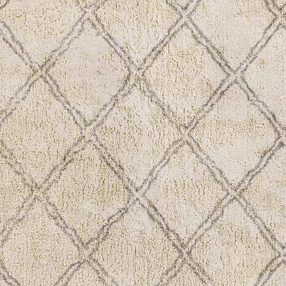 Noord Global Beige Area Rug