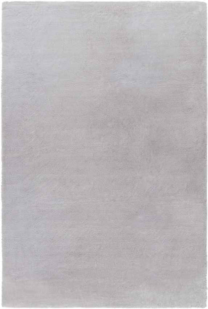 Pandgat Modern Light Gray Area Rug