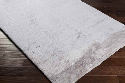 Pandgat Modern Light Gray Area Rug