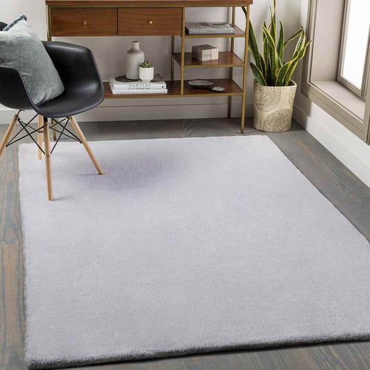 Pandgat Modern Light Gray Area Rug
