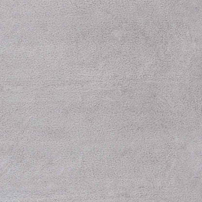 Pandgat Modern Light Gray Area Rug