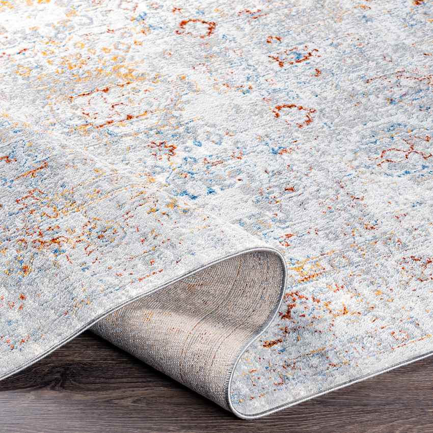 Lenox Traditional Light Gray Area Rug