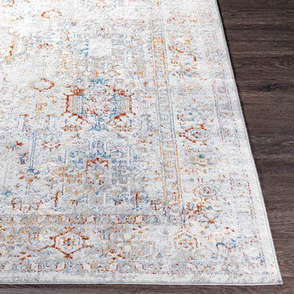 Lenox Traditional Light Gray Area Rug
