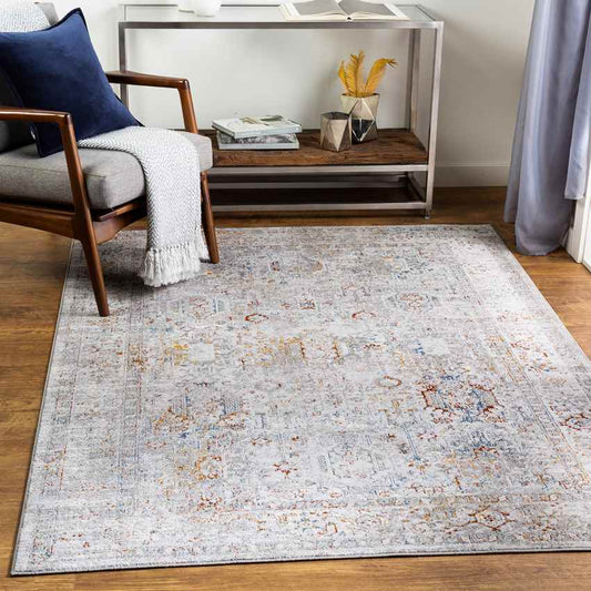 Lenox Traditional Light Gray Area Rug