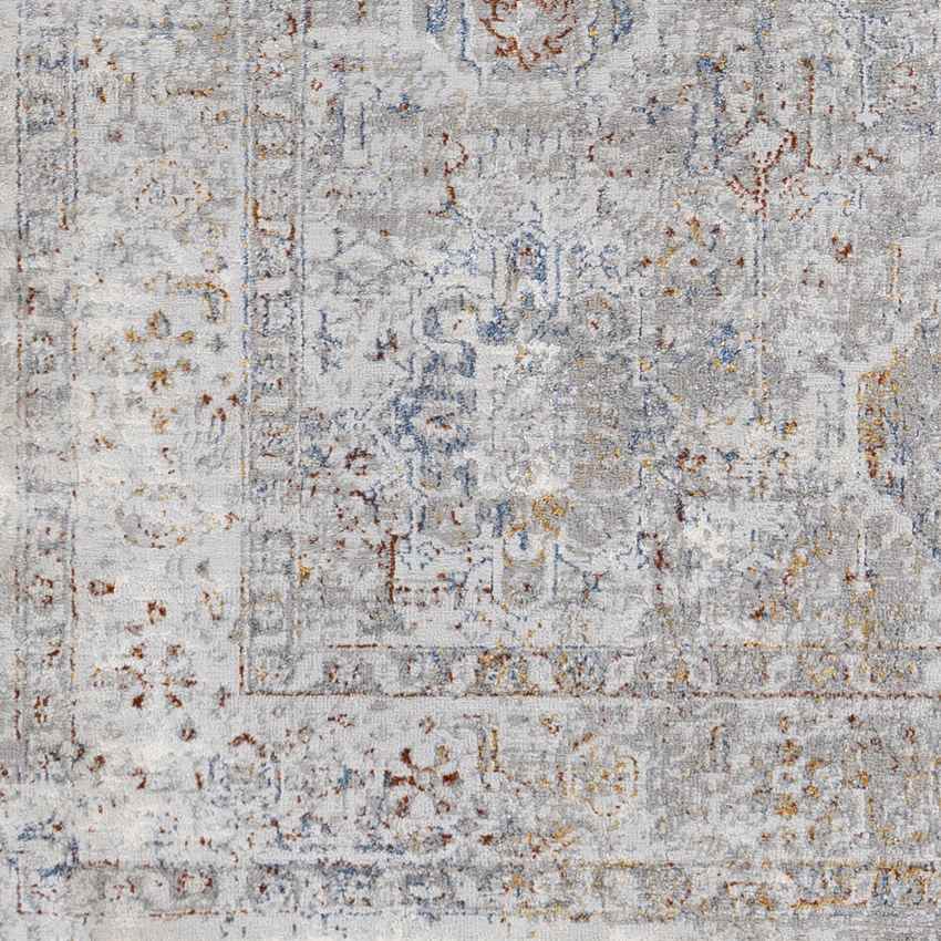 Lenox Traditional Light Gray Area Rug