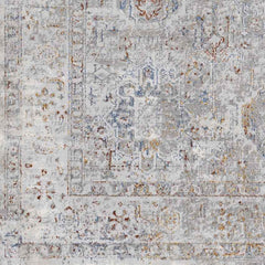 Lenox Traditional Light Gray Area Rug