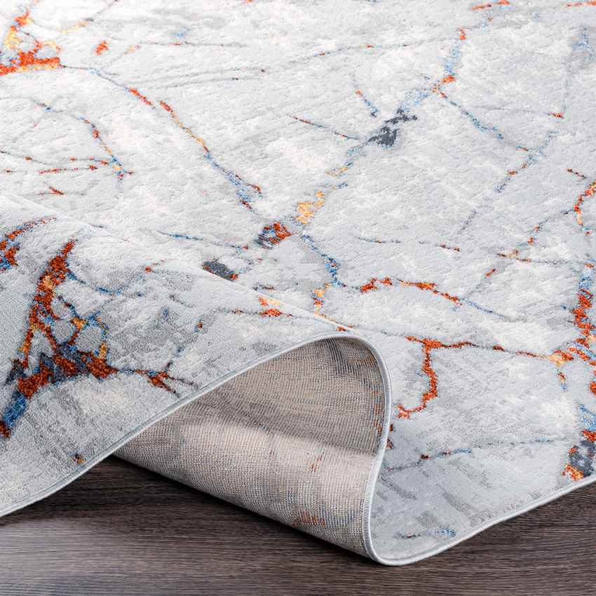 Leola Modern Light Gray Area Rug