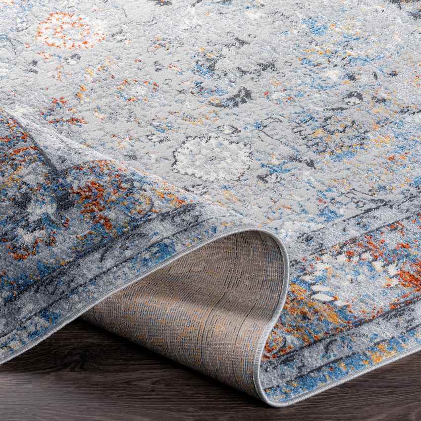 Lepanto Traditional Light Gray Area Rug