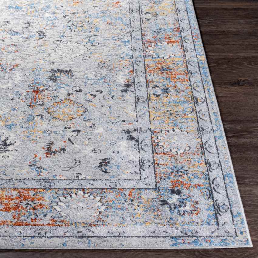 Lepanto Traditional Light Gray Area Rug