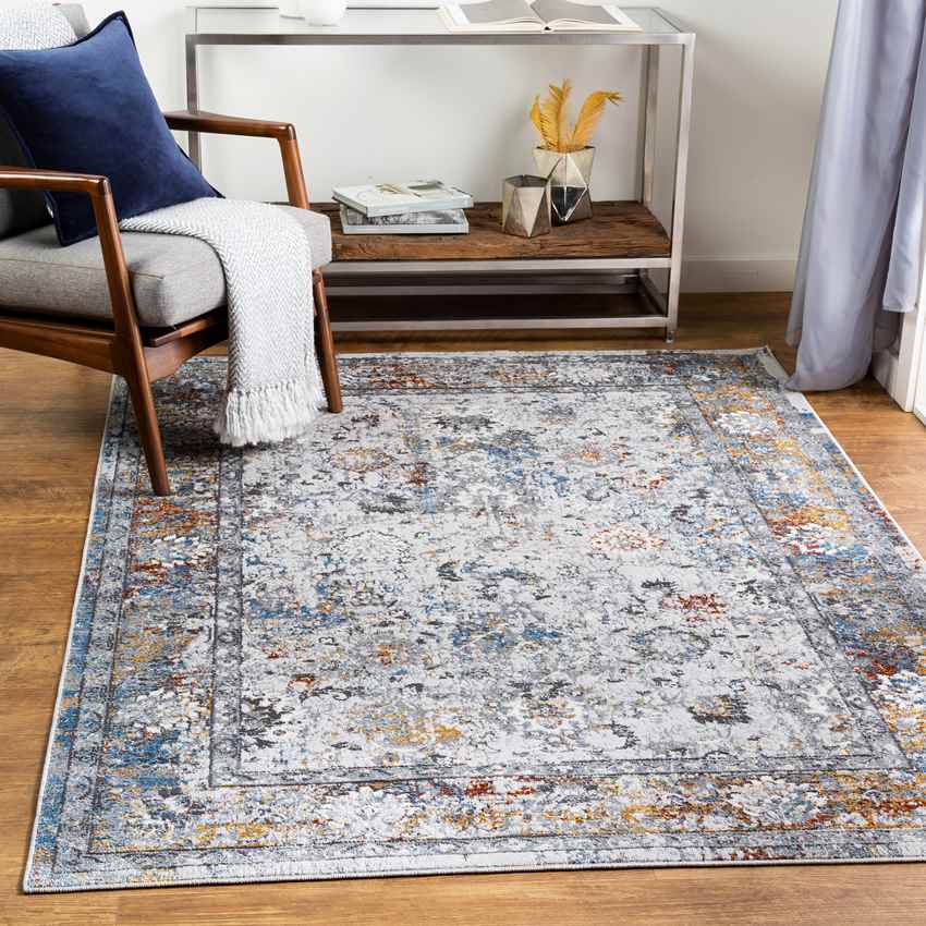 Lepanto Traditional Light Gray Area Rug