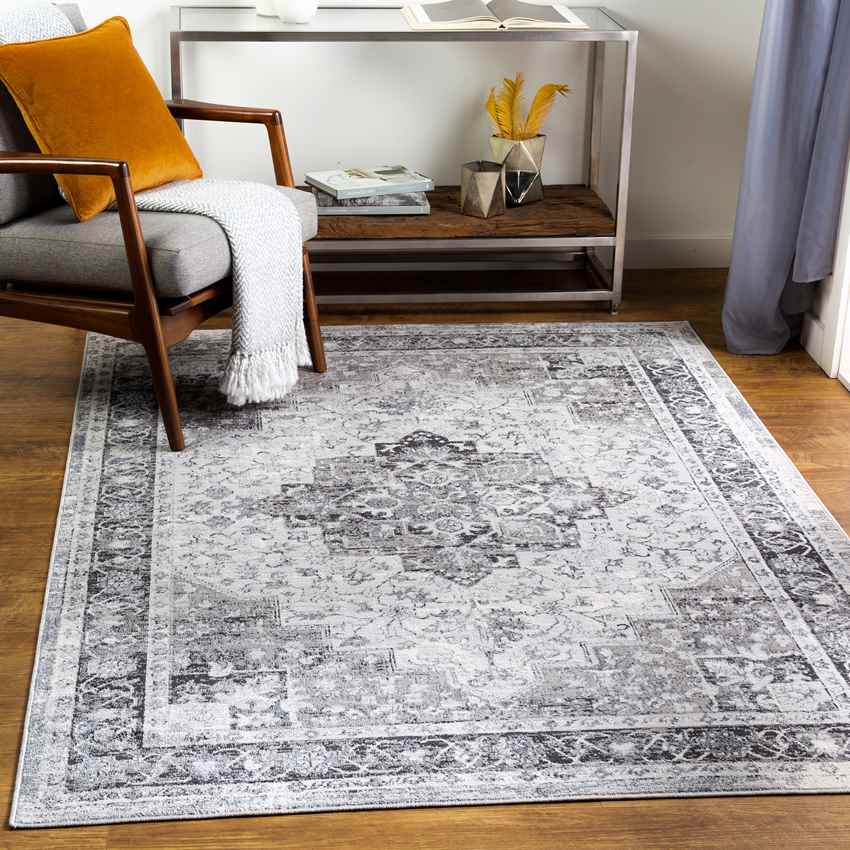 Lester Traditional Charcoal Area Rug