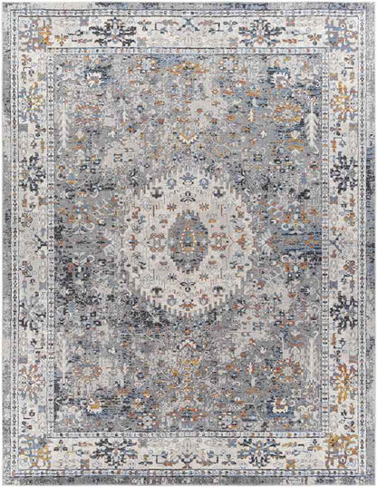 Letona Traditional Light Gray Area Rug
