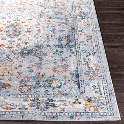 Letona Traditional Light Gray Area Rug