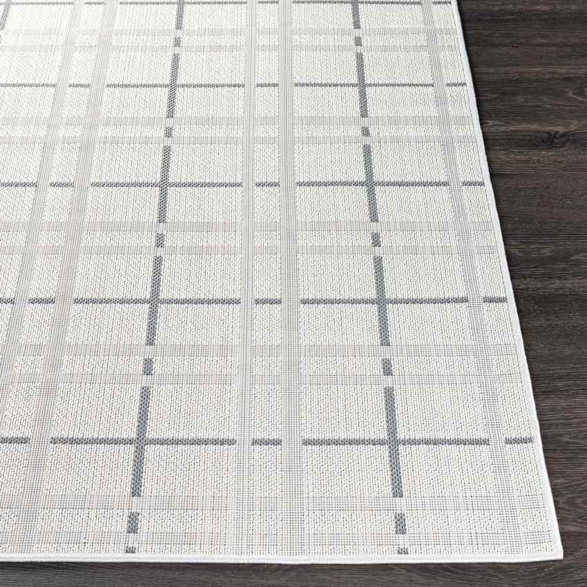 Spekklef Cottage Light Gray Area Rug