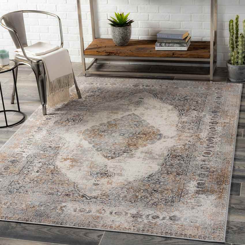 Stokske Traditional Taupe Area Rug