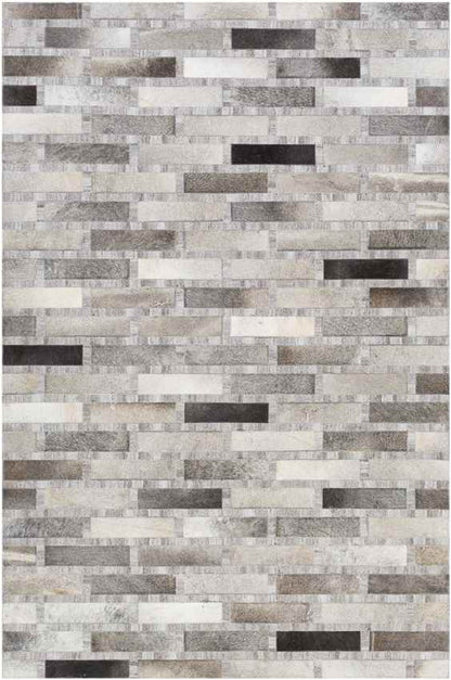Udenhout Rustic Light Gray Area Rug