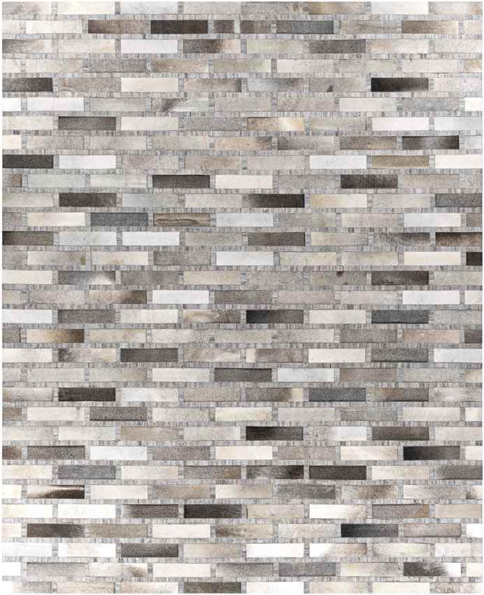 Udenhout Rustic Light Gray Area Rug